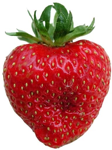 Name that Fruit or Veggie trivia illustration