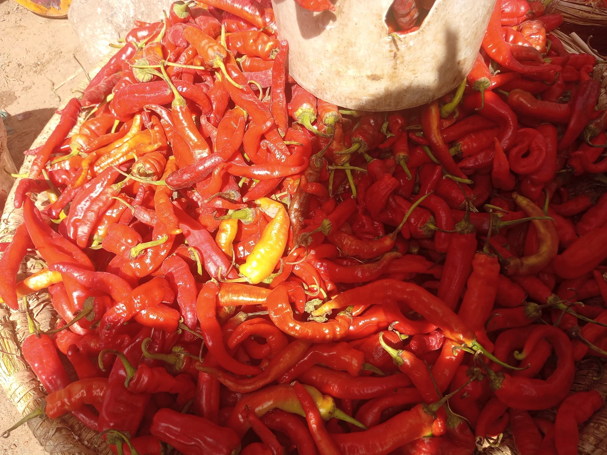 Herbs, Peppers and Mushrooms trivia question image