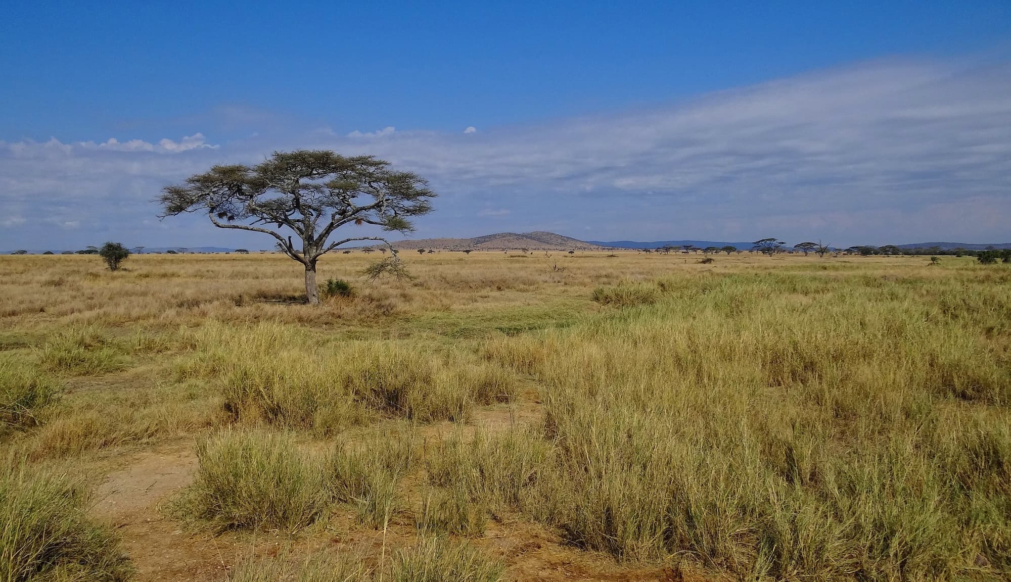 Landmarks of Africa trivia question image