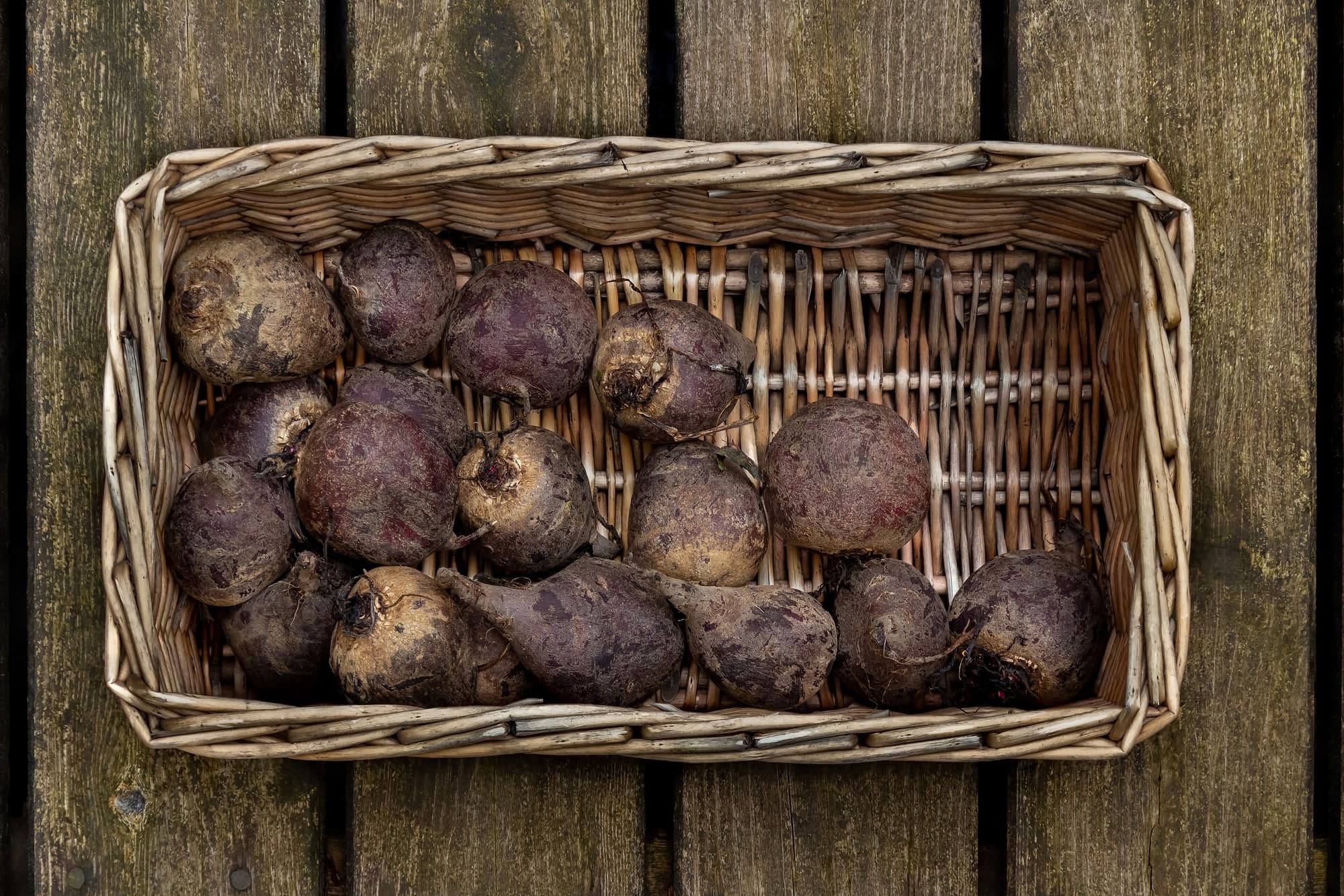 Roots and Squash trivia question image