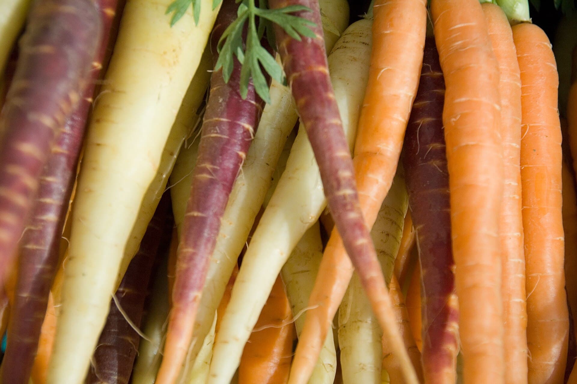 Everyday Vegetables trivia question image