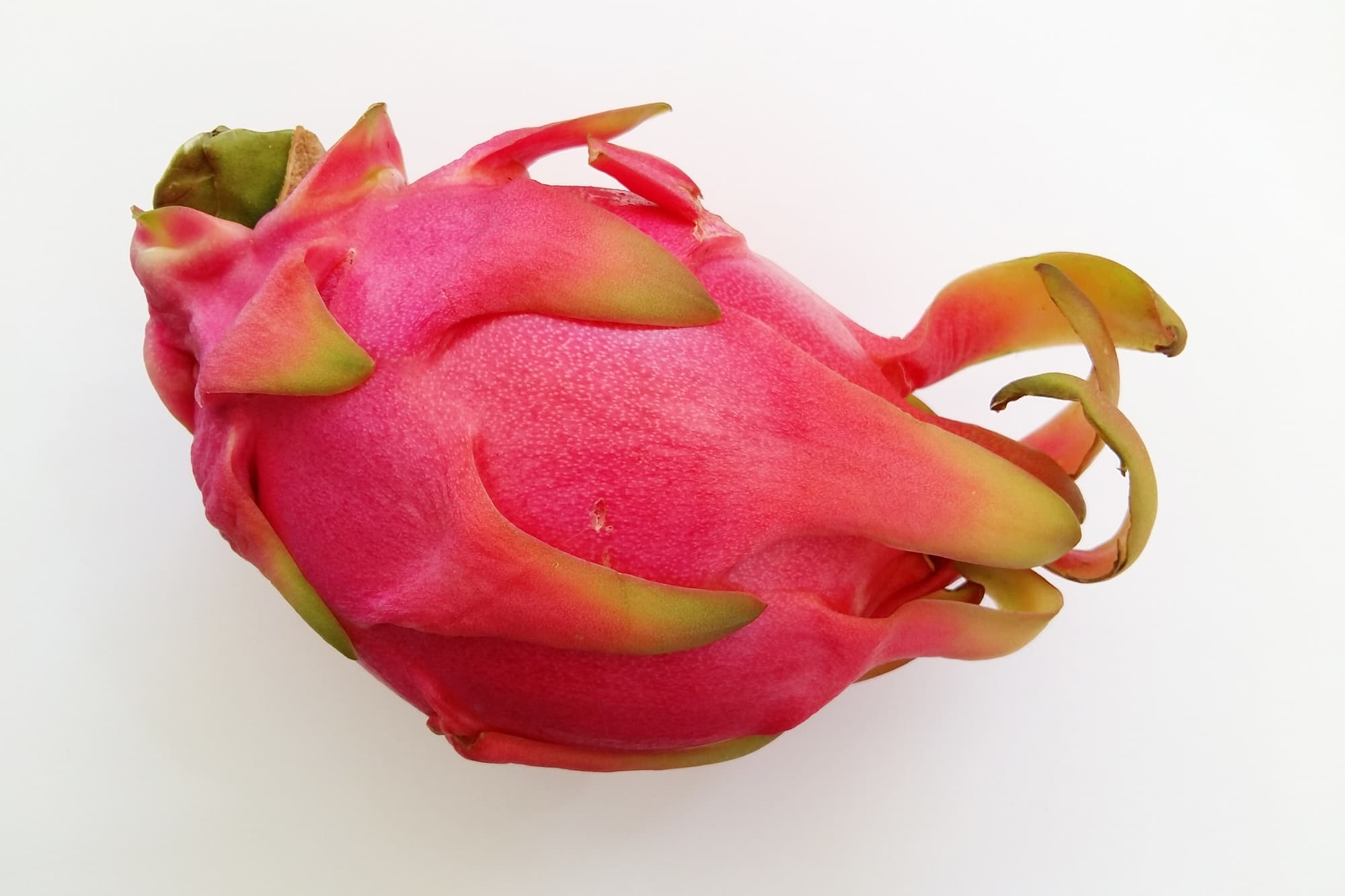 Tropical and Exotic Fruit trivia question image