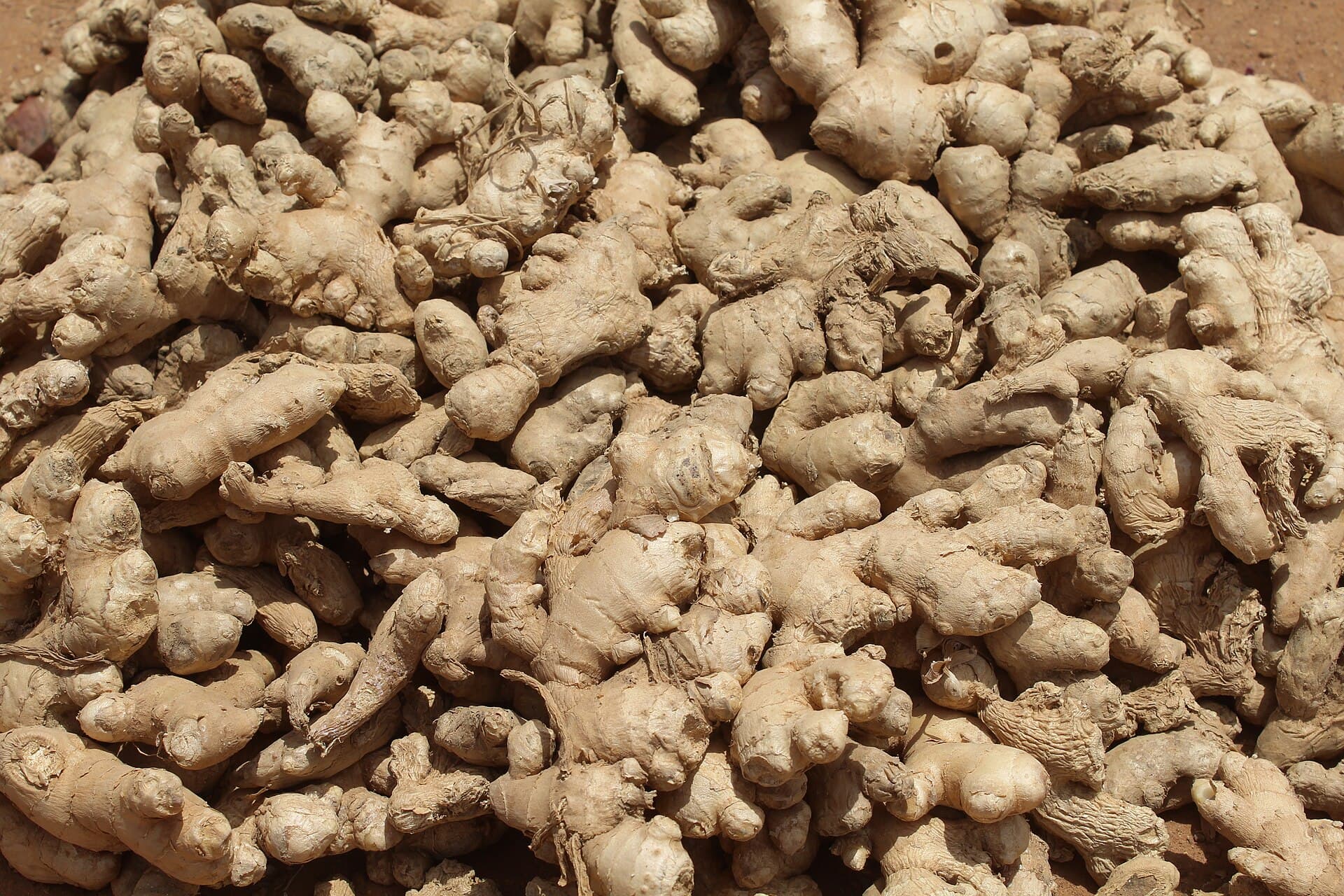 Roots and Squash trivia question image
