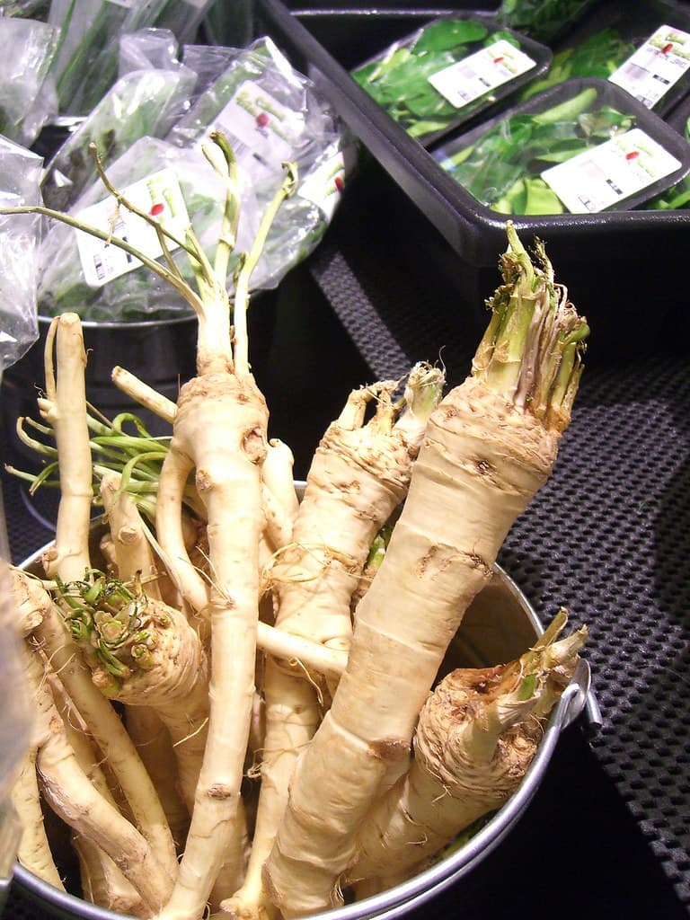 Roots and Squash trivia question image