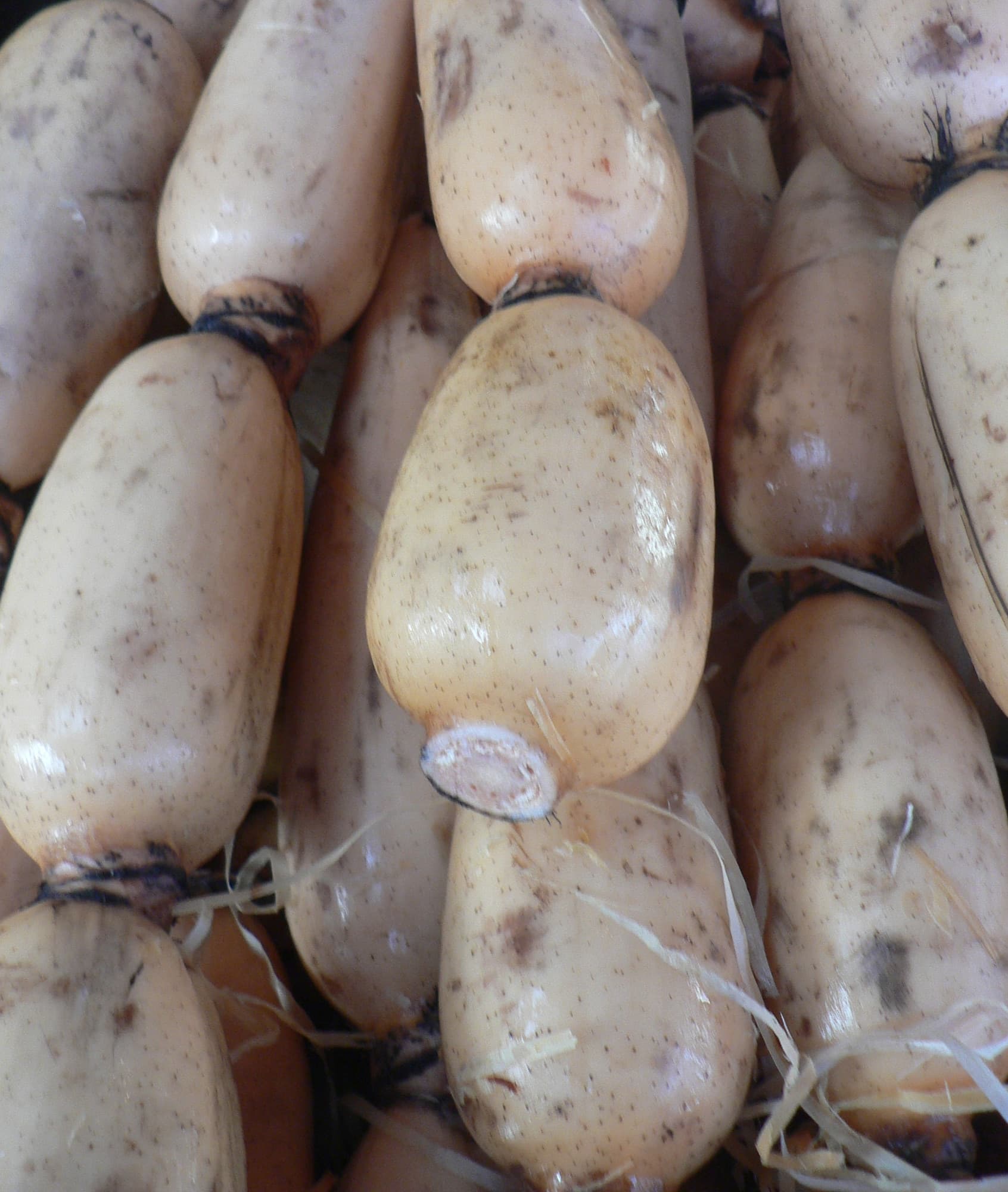 Roots and Squash trivia question image