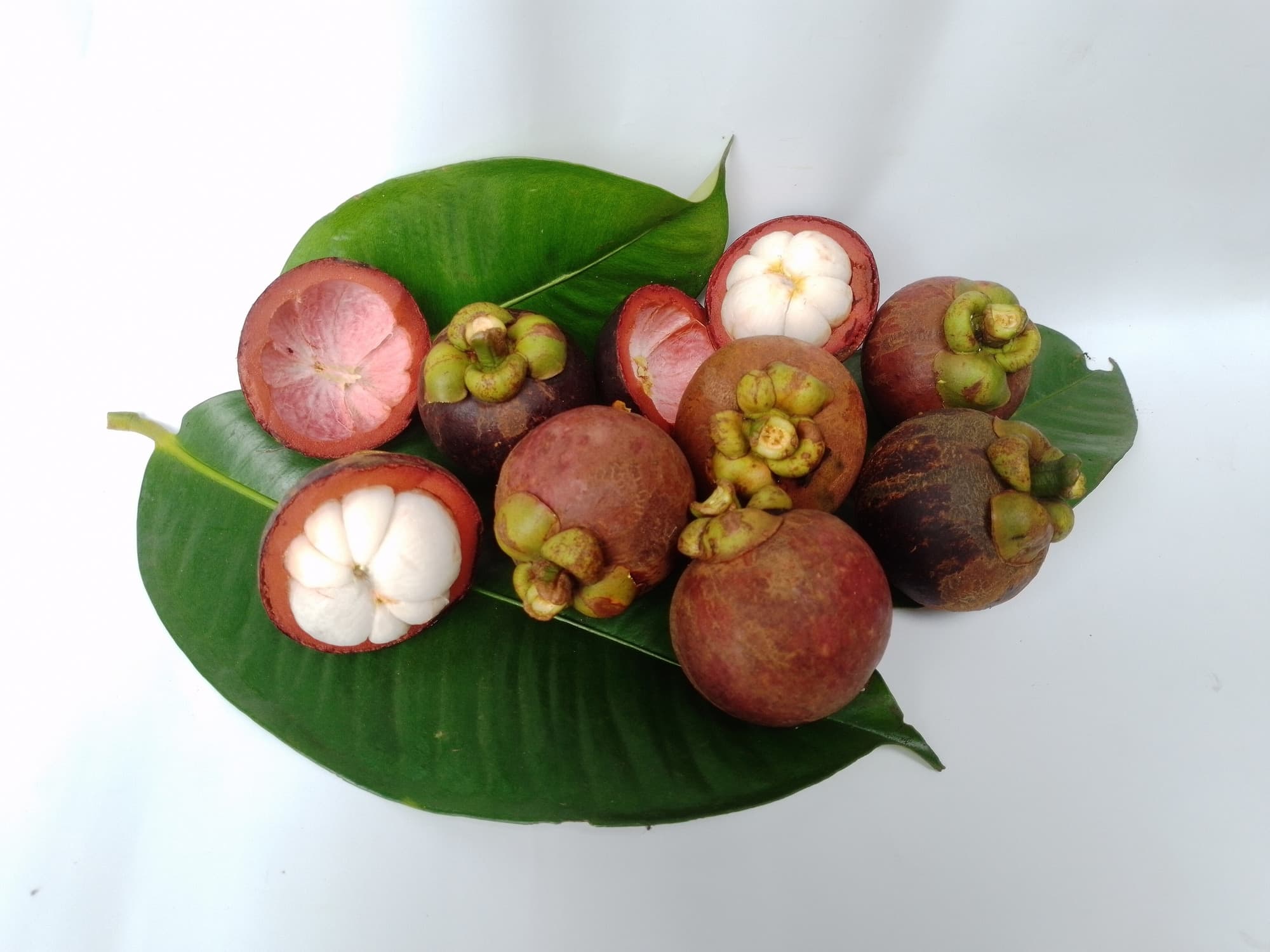 Tropical and Exotic Fruit trivia question image