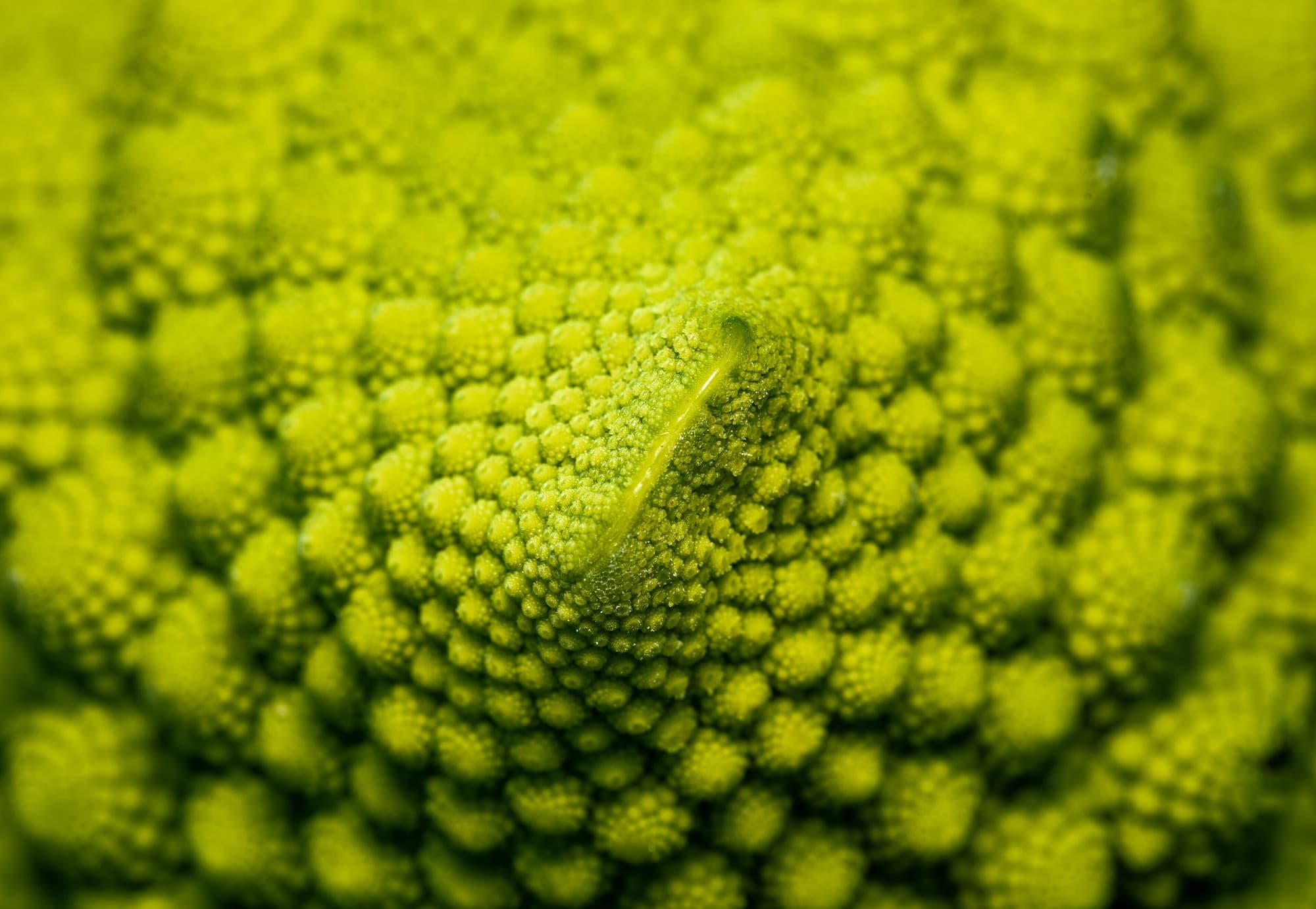 Everyday Vegetables trivia question image